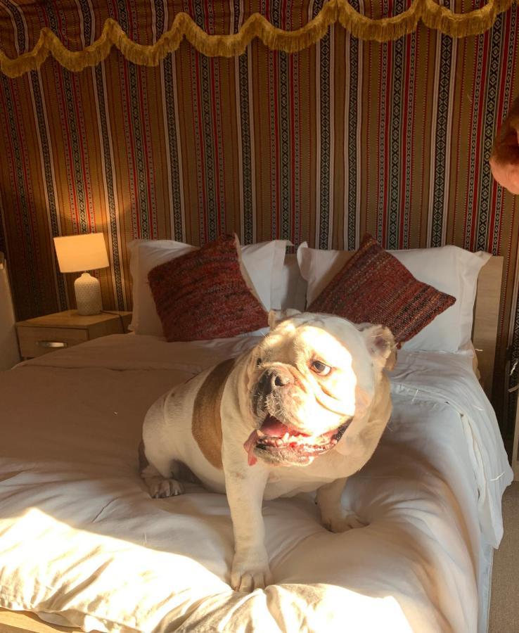 Rak Glamping Hotel Ras al-Khaimah Ngoại thất bức ảnh
