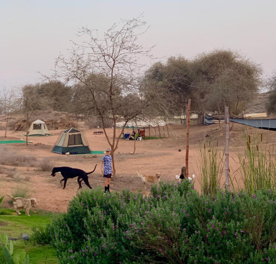 Rak Glamping Hotel Ras al-Khaimah Ngoại thất bức ảnh